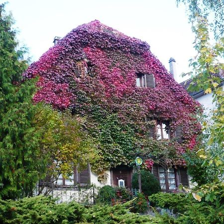 Ferrette B&B De Charme La Maison Des 5 Temps المظهر الخارجي الصورة
