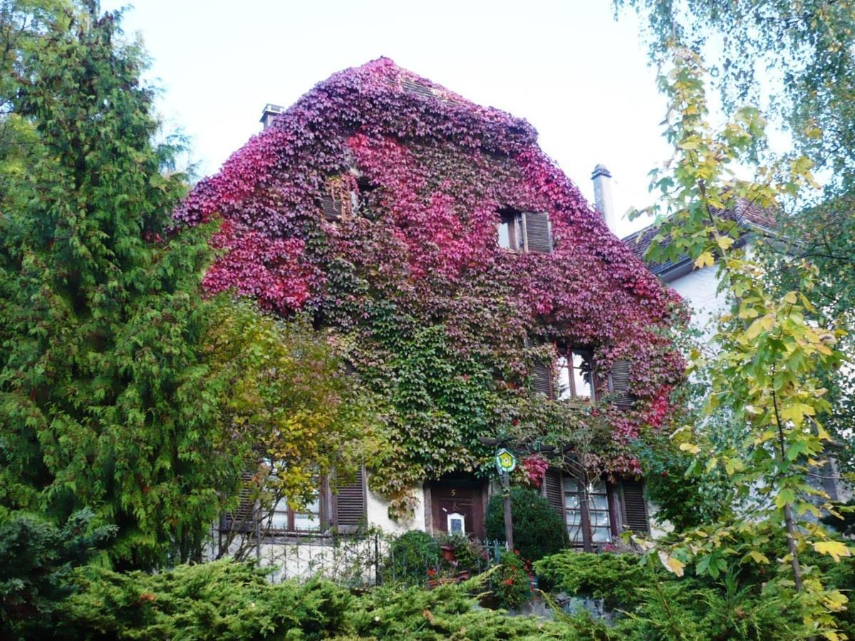 Ferrette B&B De Charme La Maison Des 5 Temps المظهر الخارجي الصورة