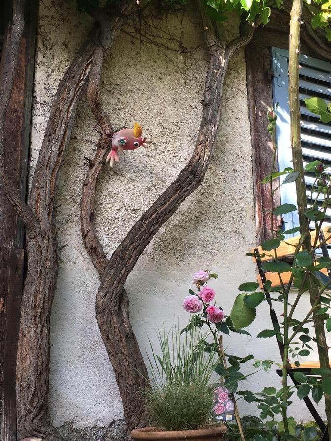 Ferrette B&B De Charme La Maison Des 5 Temps المظهر الخارجي الصورة