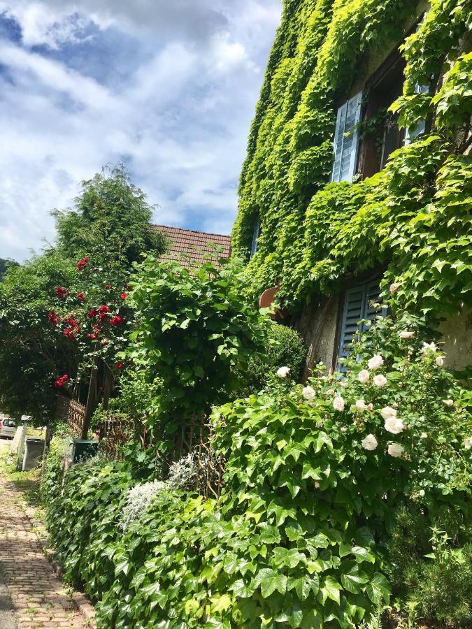 Ferrette B&B De Charme La Maison Des 5 Temps المظهر الخارجي الصورة