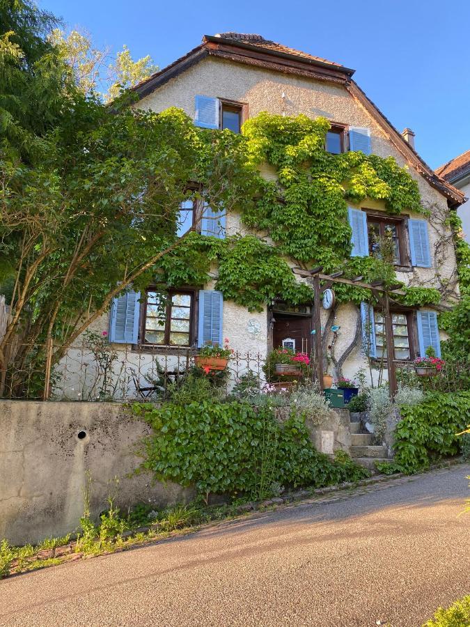 Ferrette B&B De Charme La Maison Des 5 Temps المظهر الخارجي الصورة