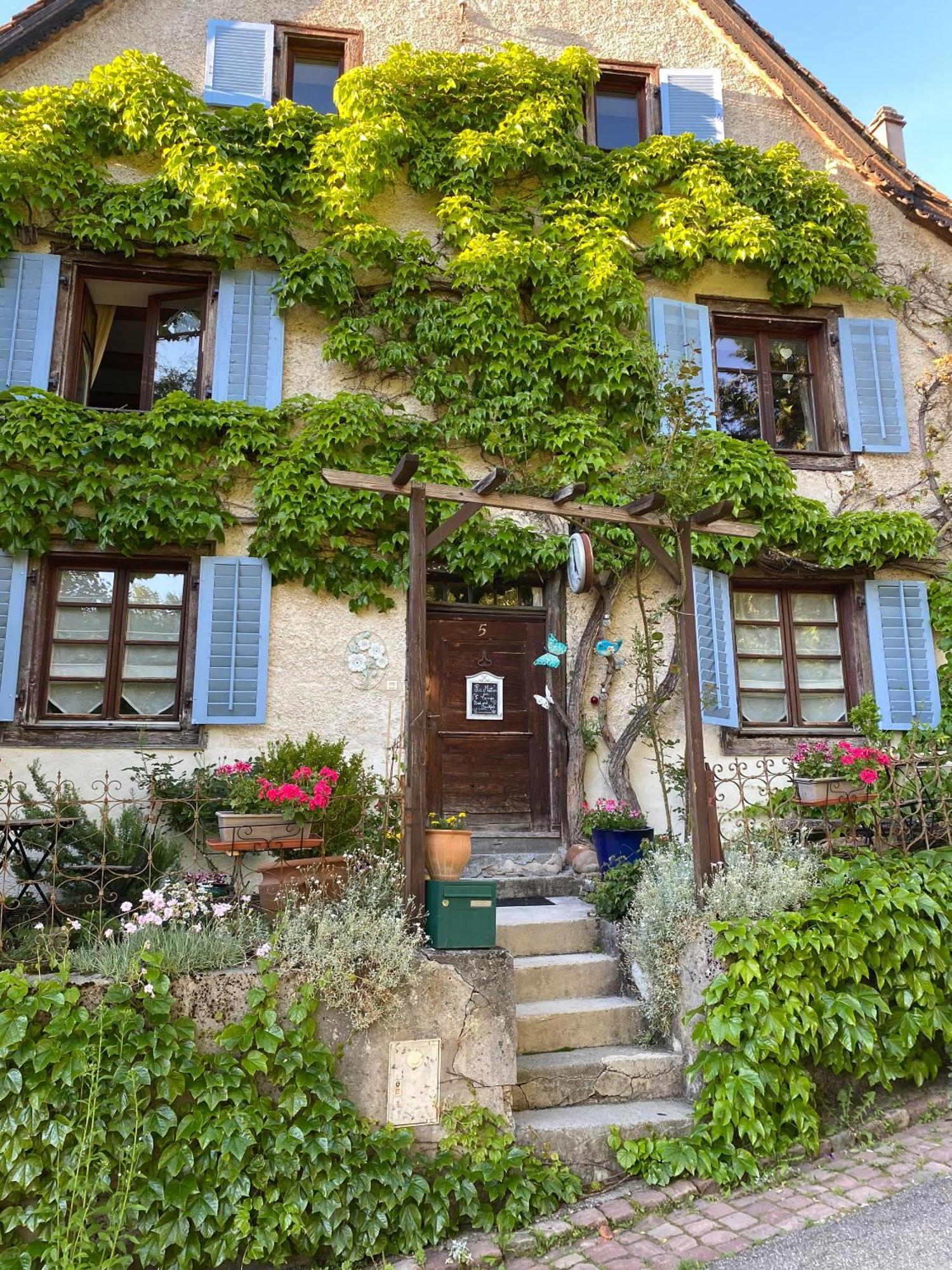 Ferrette B&B De Charme La Maison Des 5 Temps المظهر الخارجي الصورة