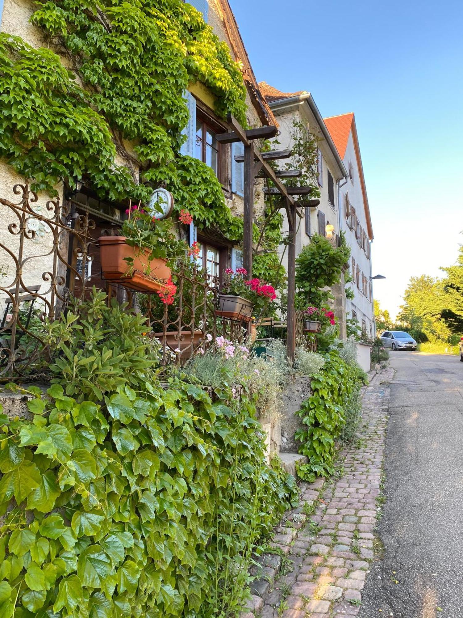 Ferrette B&B De Charme La Maison Des 5 Temps الغرفة الصورة