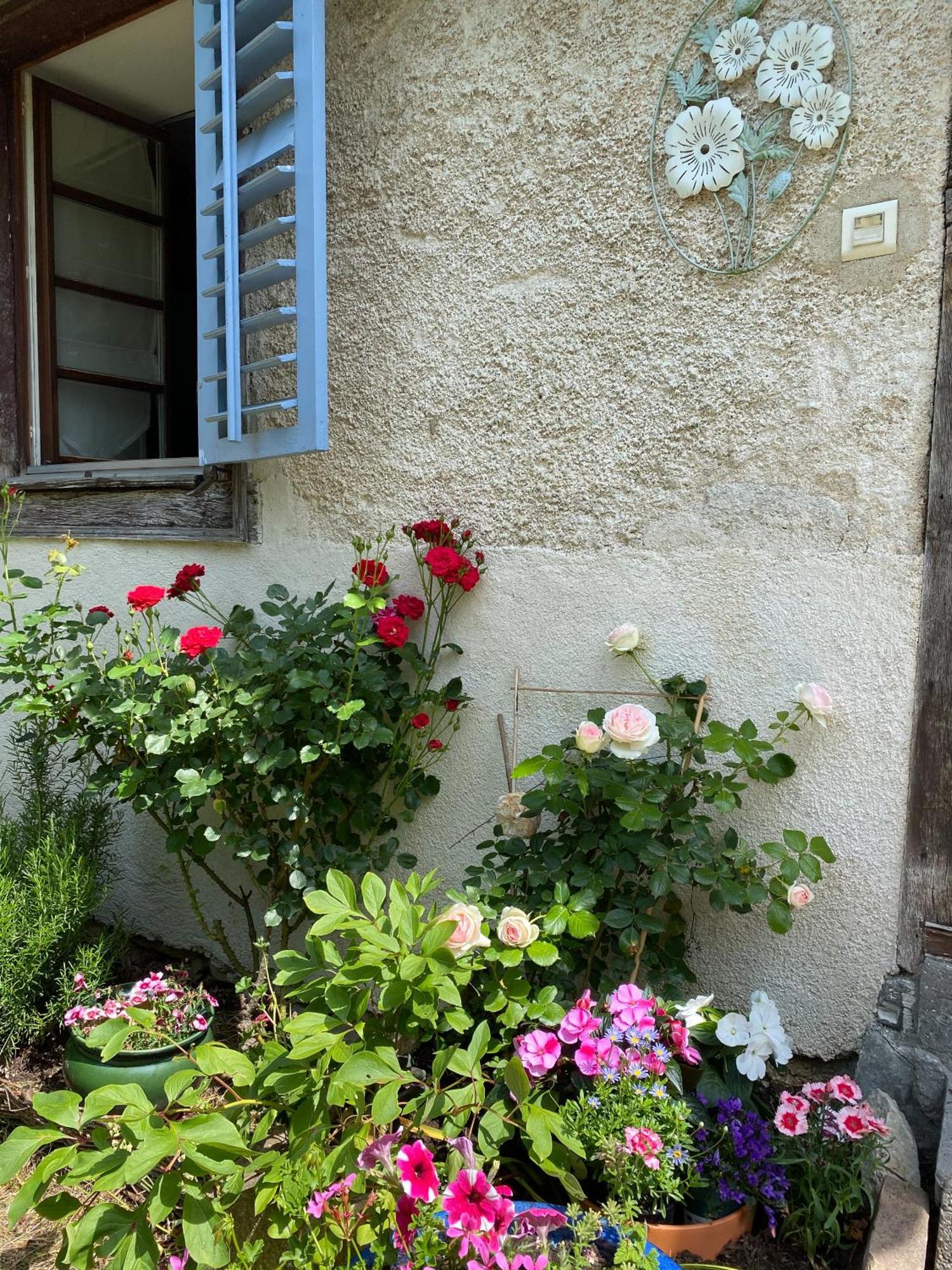 Ferrette B&B De Charme La Maison Des 5 Temps الغرفة الصورة