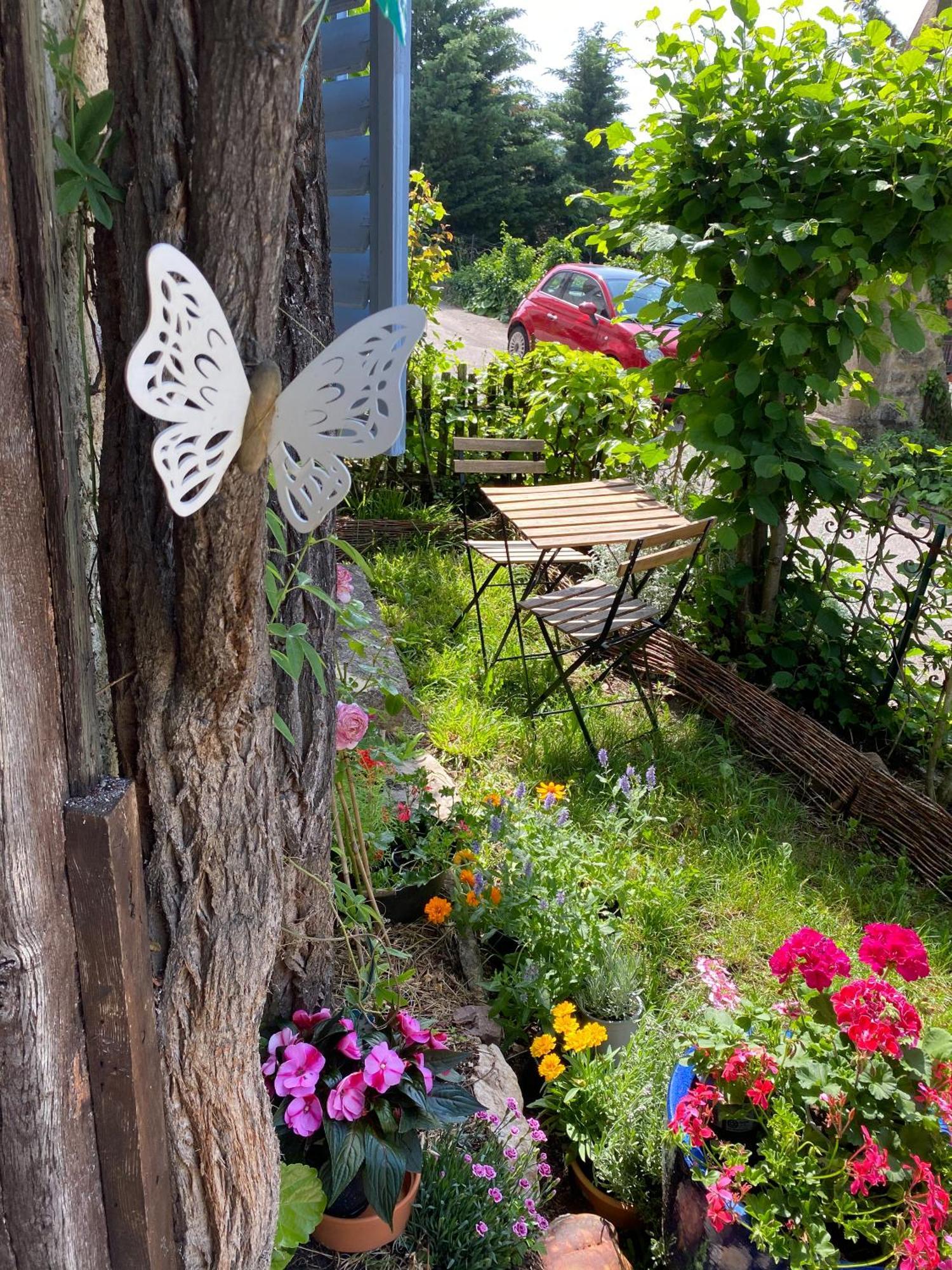 Ferrette B&B De Charme La Maison Des 5 Temps الغرفة الصورة